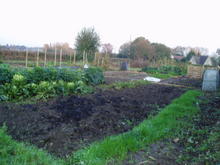 Image 1 for Lea  and Cleverton Allotments